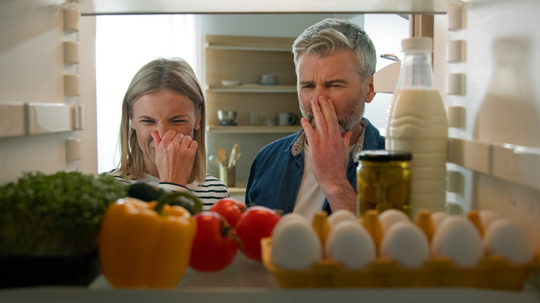 Woman and man holding noses while looking into refrigerator