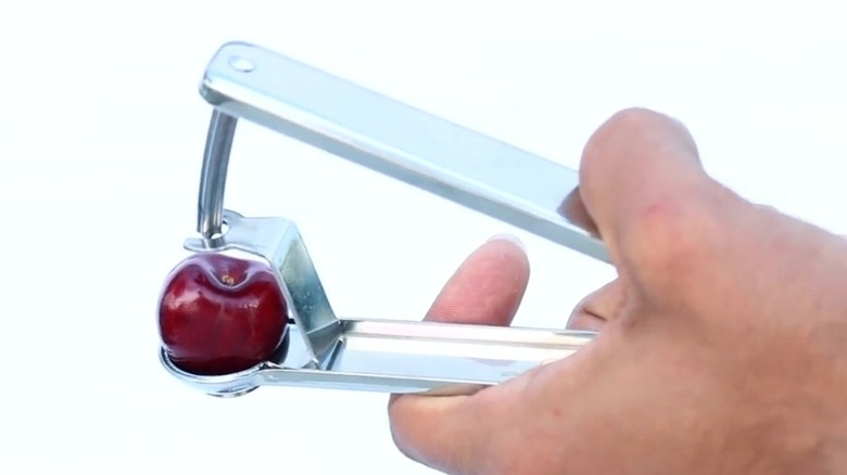 Hand holding metal cherry pitter with cherry inside