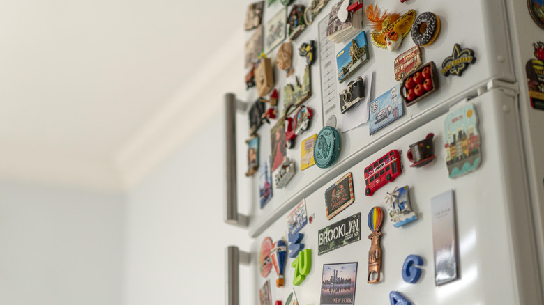Various souvenir magnets filling the upper and lower door of a refrigerator