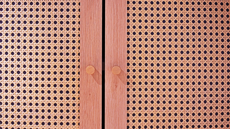 Close-up of mesh cabinet doors