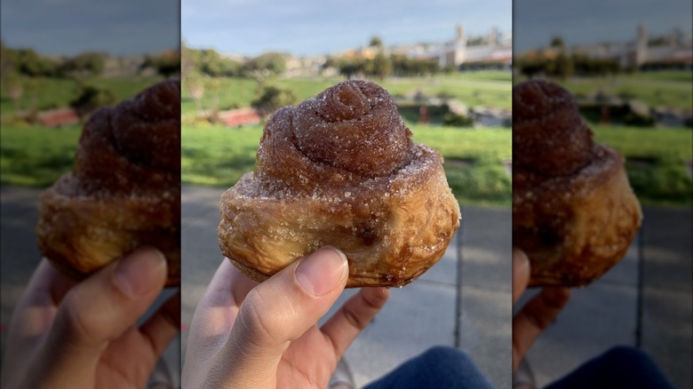 A hand holding morning bun coated with sugar in park