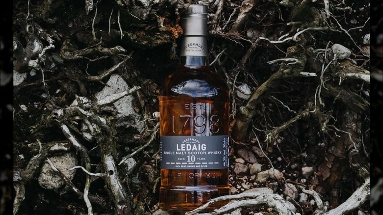 A top-down view of Ledaig 10-year placed among roots in an outdoor setting