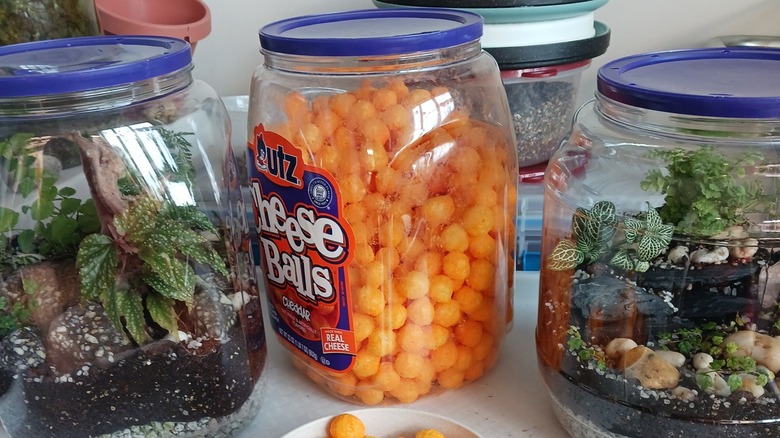 Utz cheese balls containers filled with cheeseballs and turned into terrariums