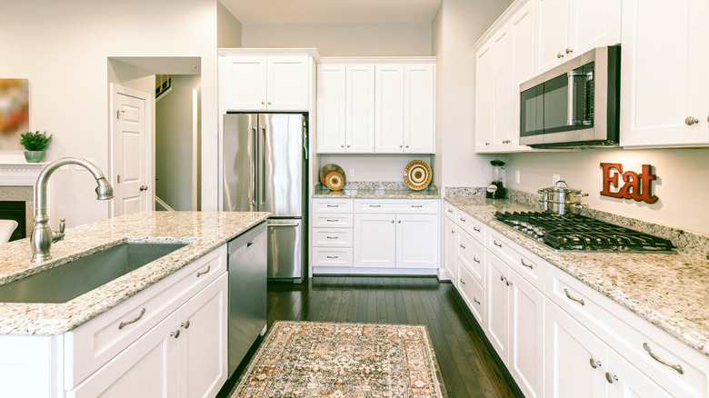 Kitchen interior with white cabinetry and steel appliances