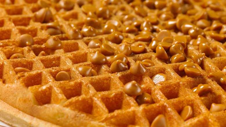 A waffle with peanut butter chips