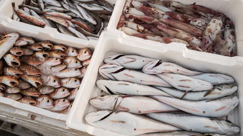 White bins full of fresh caught fish.