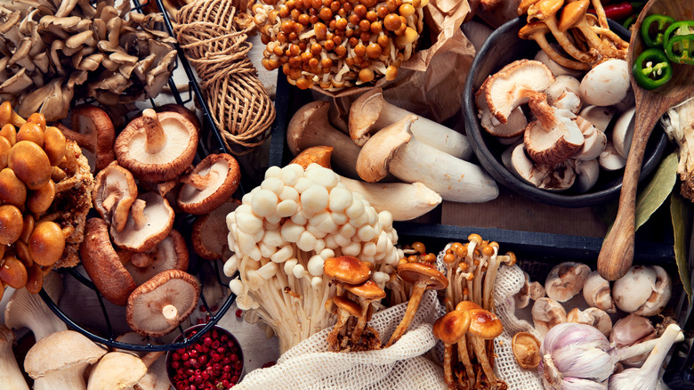 A wide variety of mushrooms laid out in bowls and on fabrics