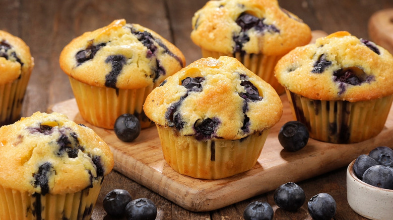 Blueberry muffins on wooden board with fresh blueberries scattered around