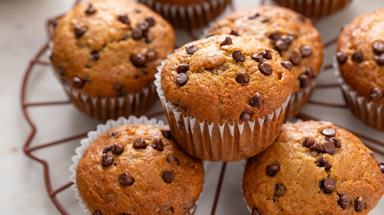 Chocolate chip muffins on cooling rack