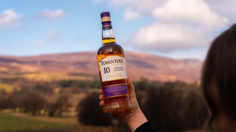 A person holding up a bottle of Tomintoul 10-year in front of a picturesque landscape