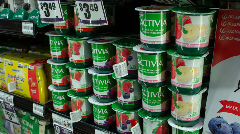 Single serve pots of Activia yogurts on grocery store shelf