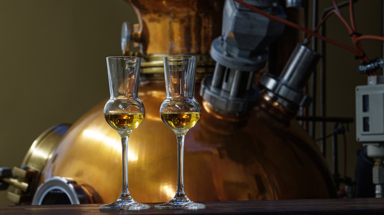 Liqueur glasses in front of a gin distiller.