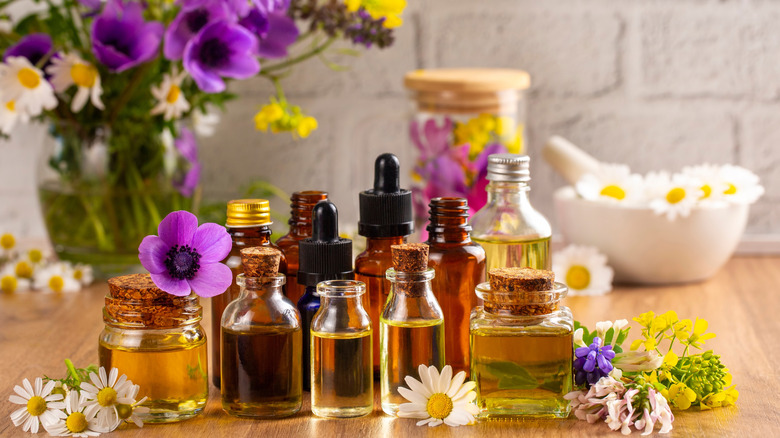 Concept of alternative herbal medicine. Bottles of tincture or potion, organic essential oils, dry healthy herbs, floral extracts on wooden table. Pure natural ingredients for cosmetic production.
