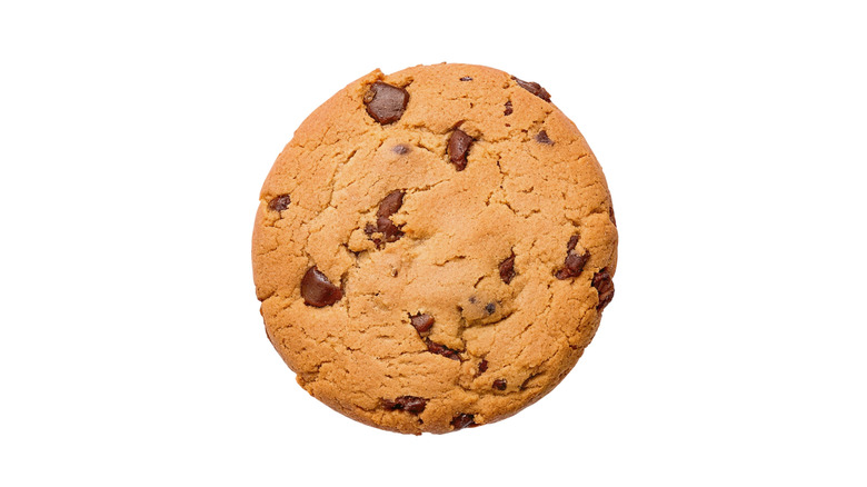 Single chocolate chip cookie on white background