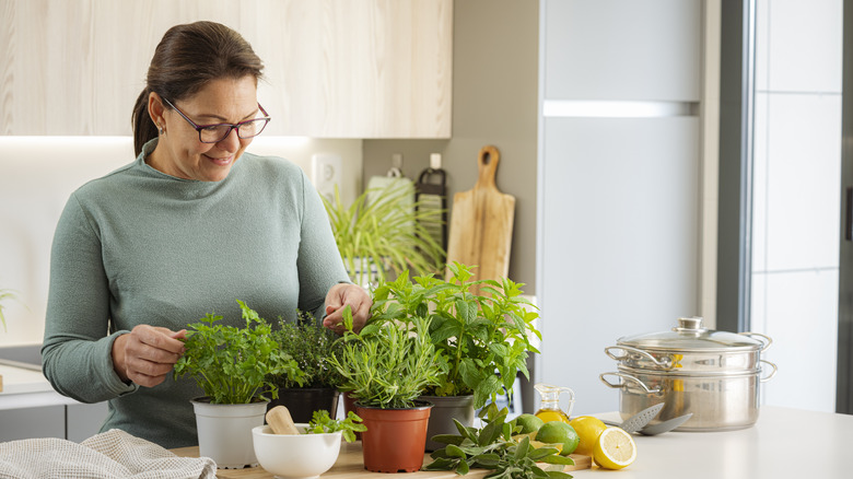 smiling woman choosing fresh herbs from the pots on her counter, in a sleek and modern-looking kitchen