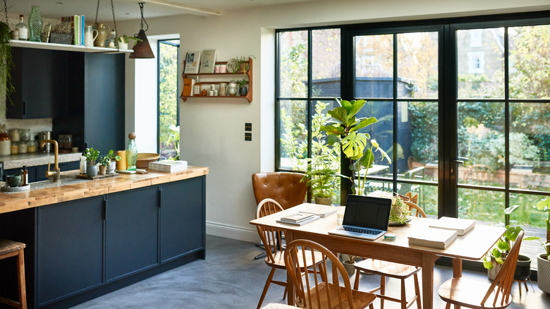 modern, well-lighted kitchen with lots of plants, well-suited to a countertop garden