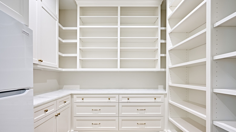 White walk-in pantry with bare shelves in L-shaped layout