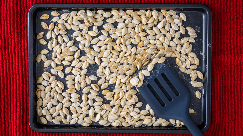 Roasted pumpkin seeds on baking sheet with spatula resting on a red kitchen towel