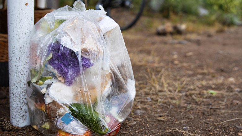 A small, transparent bag of trash sitting on the forest floor against a post
