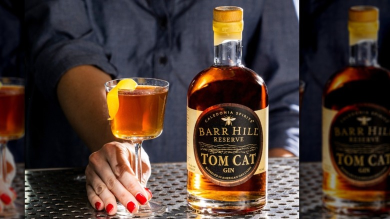 Barr Hill Tom Cat Gin with cocktail