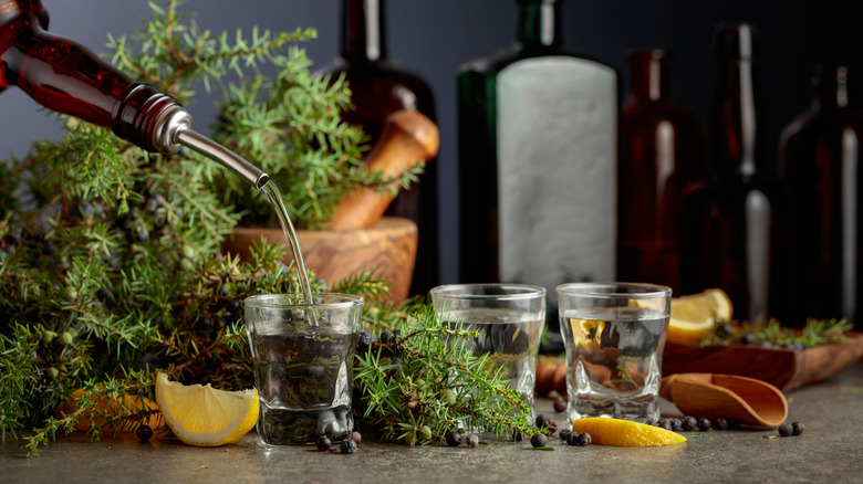 pouring gin in glass with juniper, lemon, pine