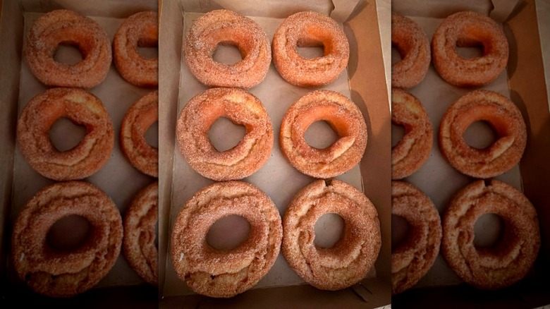 Trader Joe's Apple Cider Donuts in box