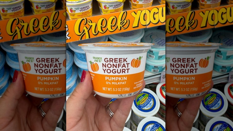 Hand holding Trader Joe's Greek Nonfat Pumpkin Yogurt