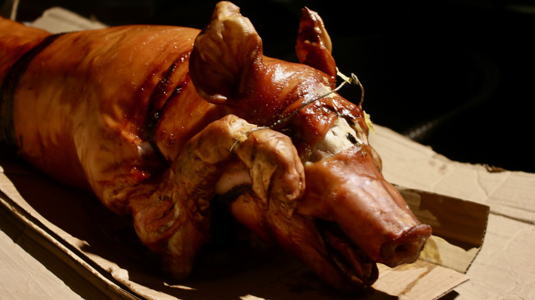 Lechón, a whole roasted pig trussed and laid out on a scrap of cardboard