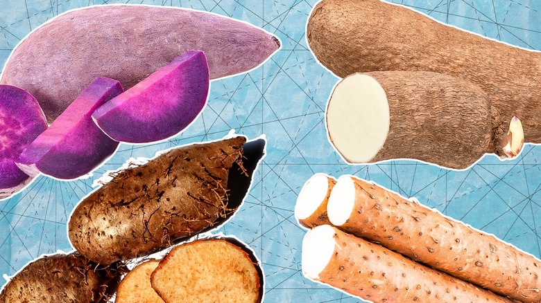 Assorted yams on blue background 