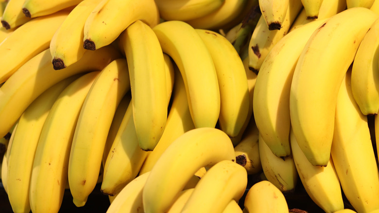 close up of pile of bananas