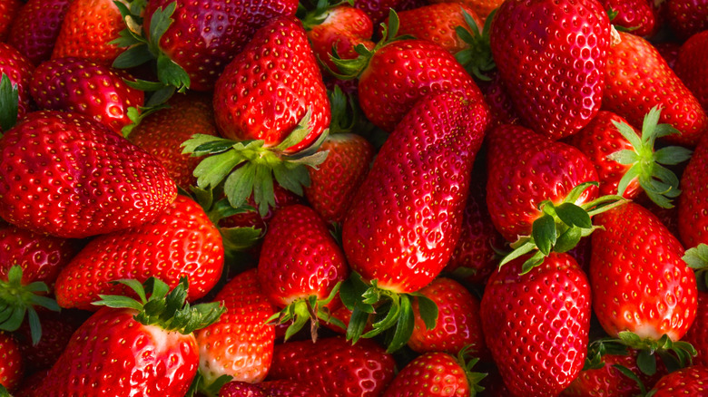 pile of strawberries