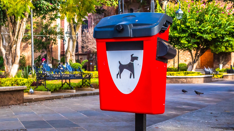 Black and red dog waste trash can in park