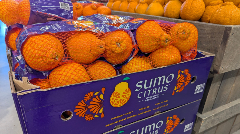 bags of sumo citrus at a grocery store