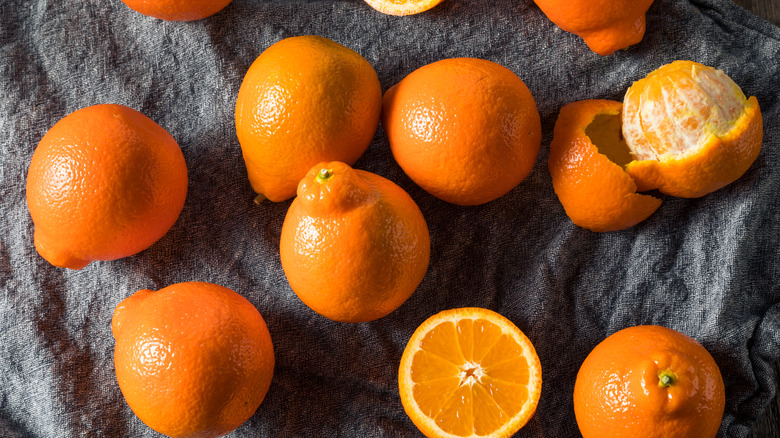 tangelos on a gray tablecloth