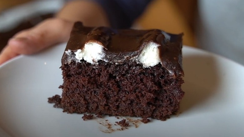 Slice of chocolate bumpy cake on white plate