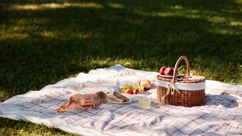 a summer picnic spread