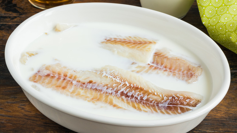 tilapia fillets marinating in milk in a white ceramic dish