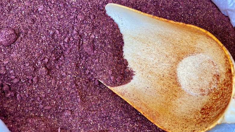A wooden spoon digging into a mound of ground sumac