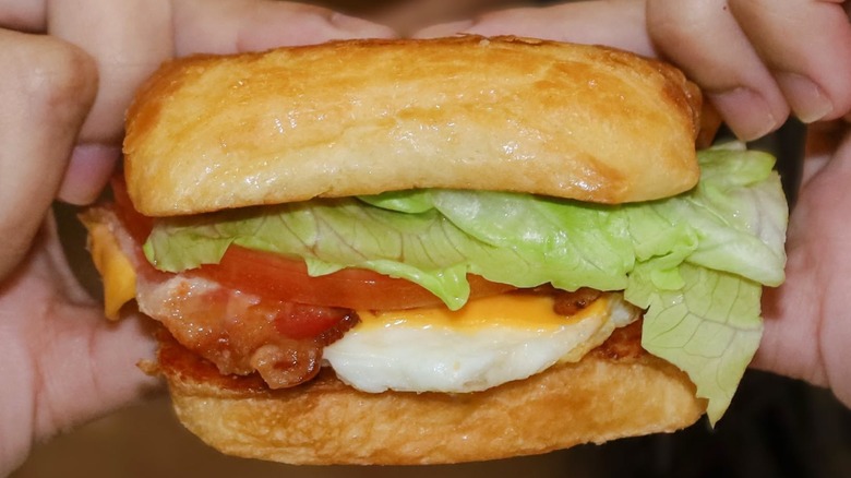 Hands holding an egg BLT