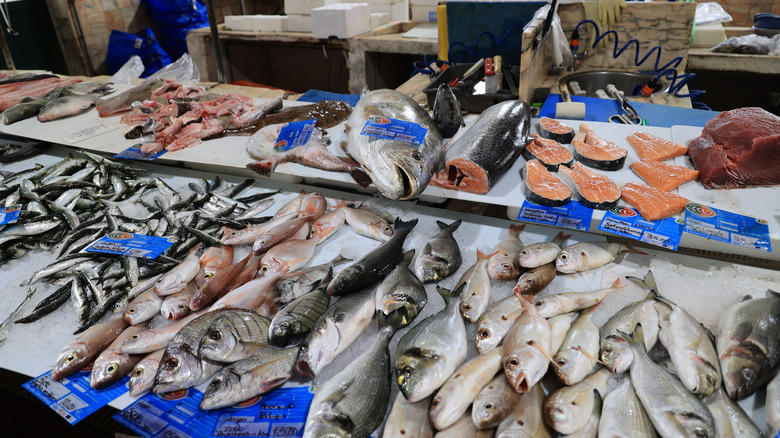 Display of several types of fresh fish at a small market