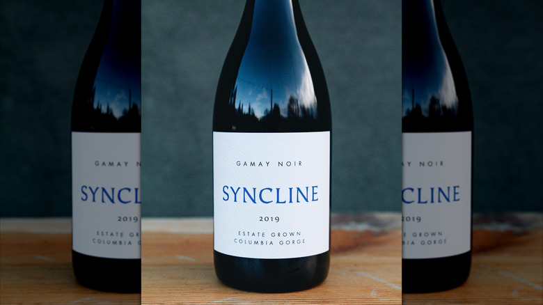 closeup shot of bottle of red wine from Syncline Winery Gamay Noir against a dark blue background