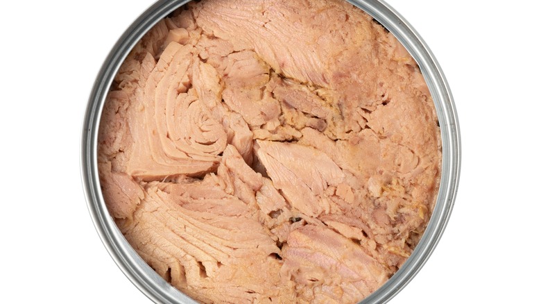 Top-down view of an open can of tuna