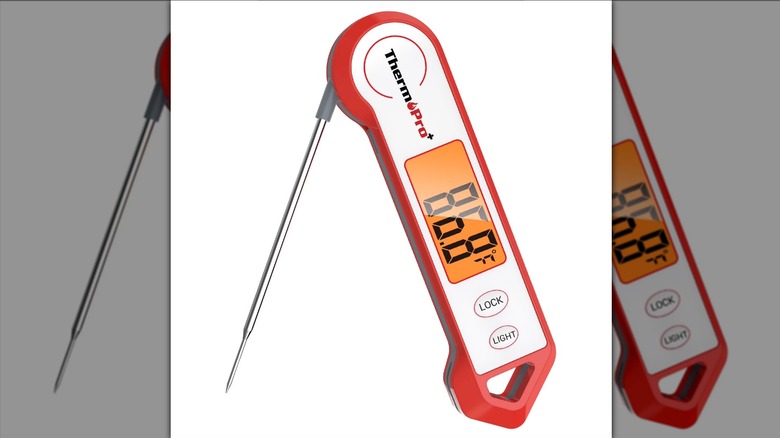 ThermoPro meat thermometer on white background