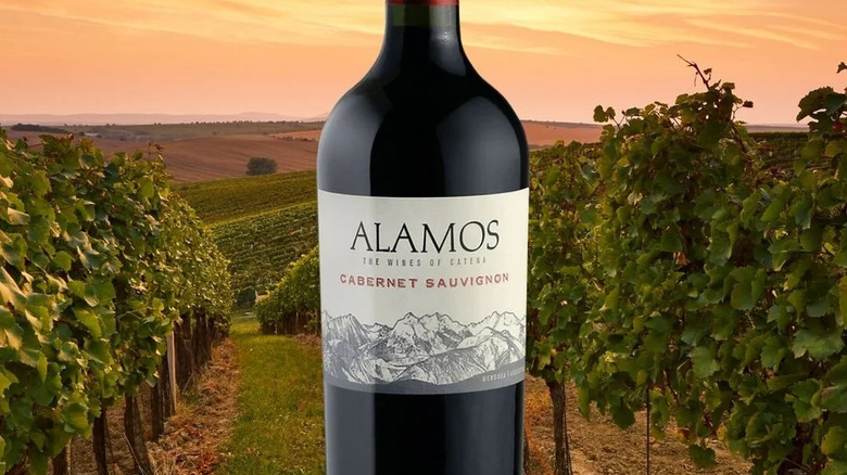 Bottle of Alamos cabernet sauvignon