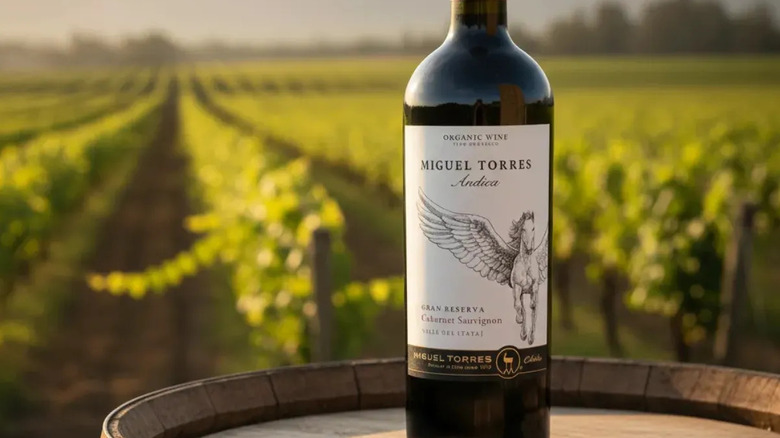 Bottle of Miguel Torres Andica wine