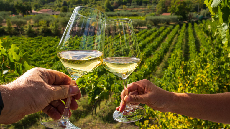 people clinking white wine glasses in front of a vineyard