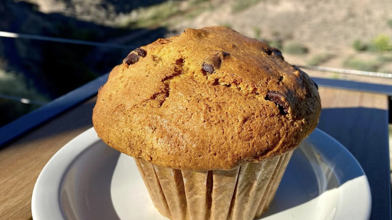 Muffin on a white plate with desert background