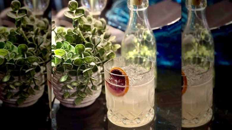 Pale green/yellow cocktail on ice with a dried blood orange garnish sitting in front of a glass bottle and an overflowing green plant