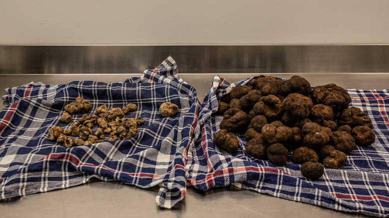 piles of truffles on cloth