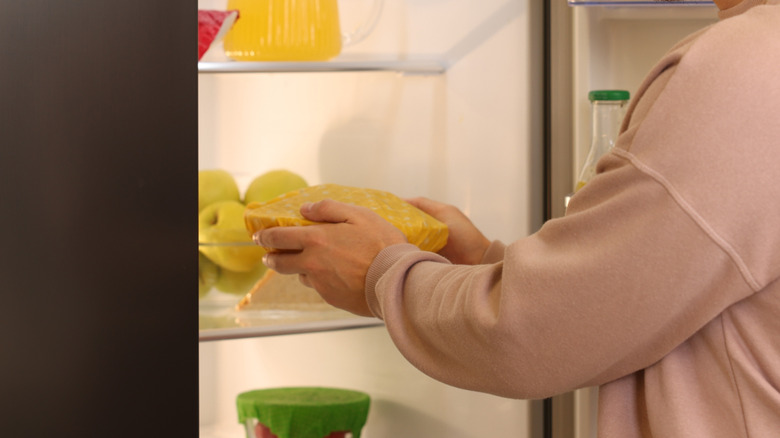 Person puttinb beeswax covered bowl in refrigerator